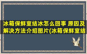 冰箱保鲜室结冰怎么回事 原因及解决方法介绍图片(冰箱保鲜室结冰怎么回事 原因及解决方法介绍图)